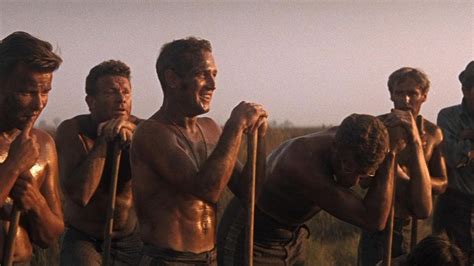 Watch Cool Hand Luke (1967) Full Movie Free Online .